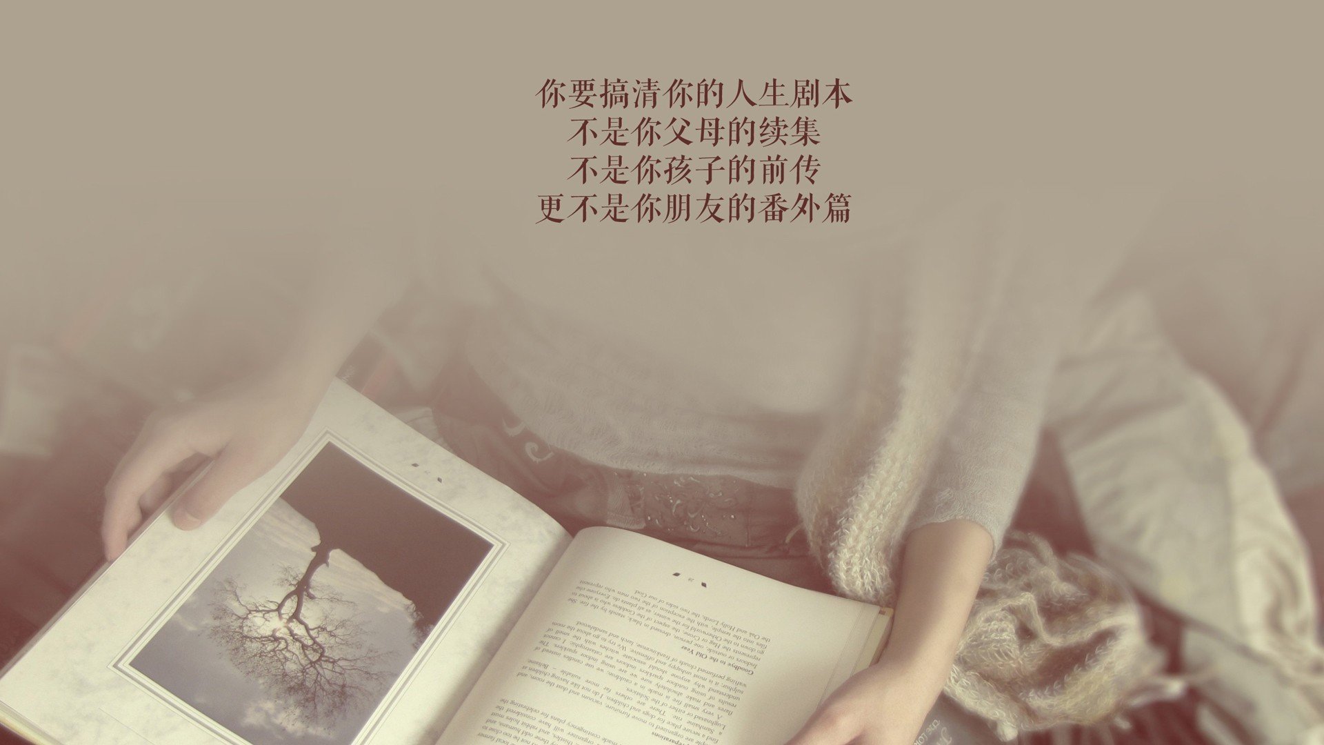 运动员训练效果监控系统，运动员训练监控方法