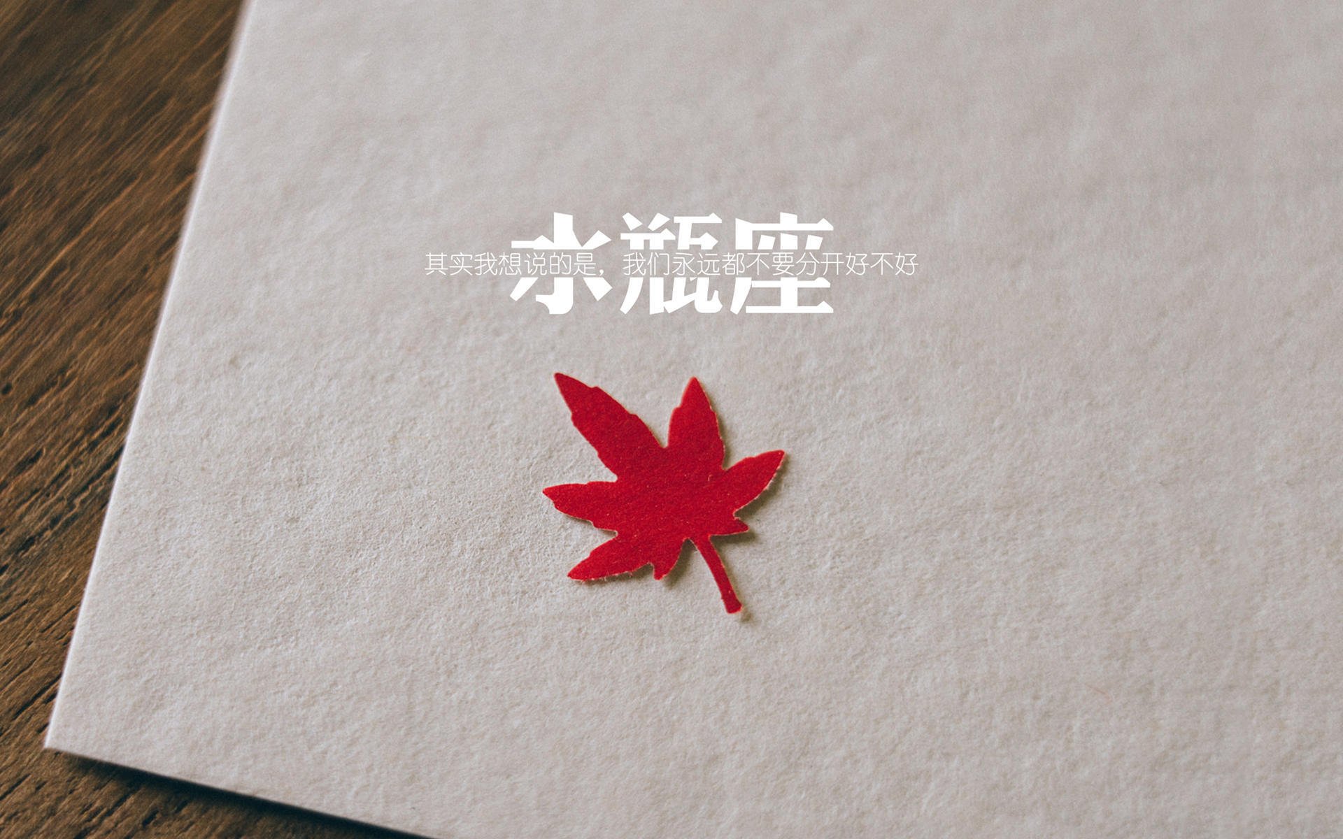 加拿大队在国际乒联混合团体世界杯中的突出表现和技术突破，加拿大代表队乒乓球