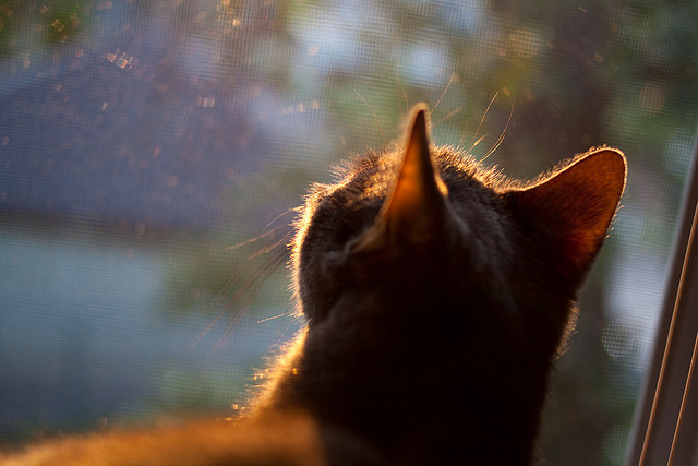 奥预赛U23国足迎战 球员心理承压明显，u23国足比赛时间