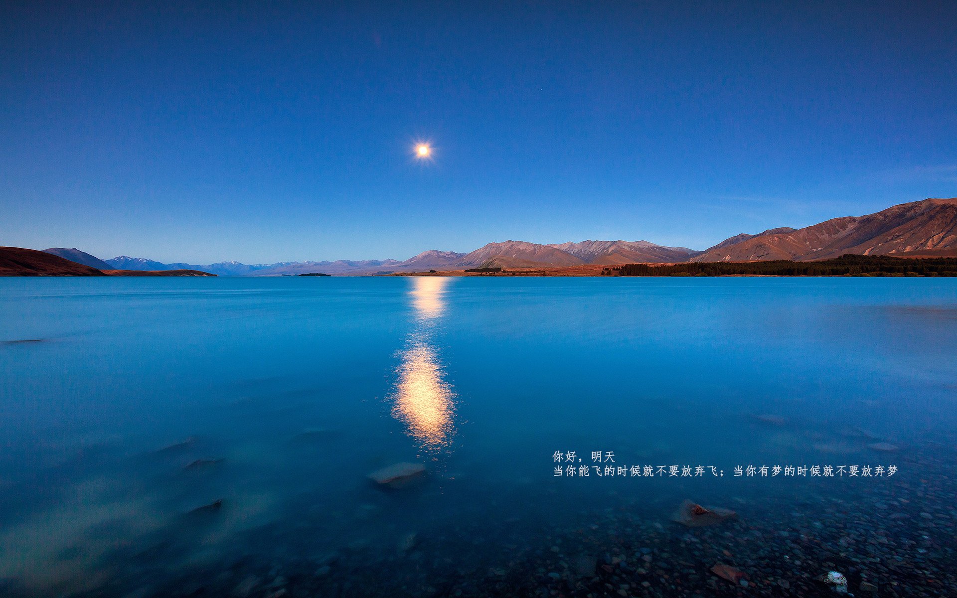 九游体育下载-弗赖堡以稳为主巩固后场防线，弗赖堡新球场