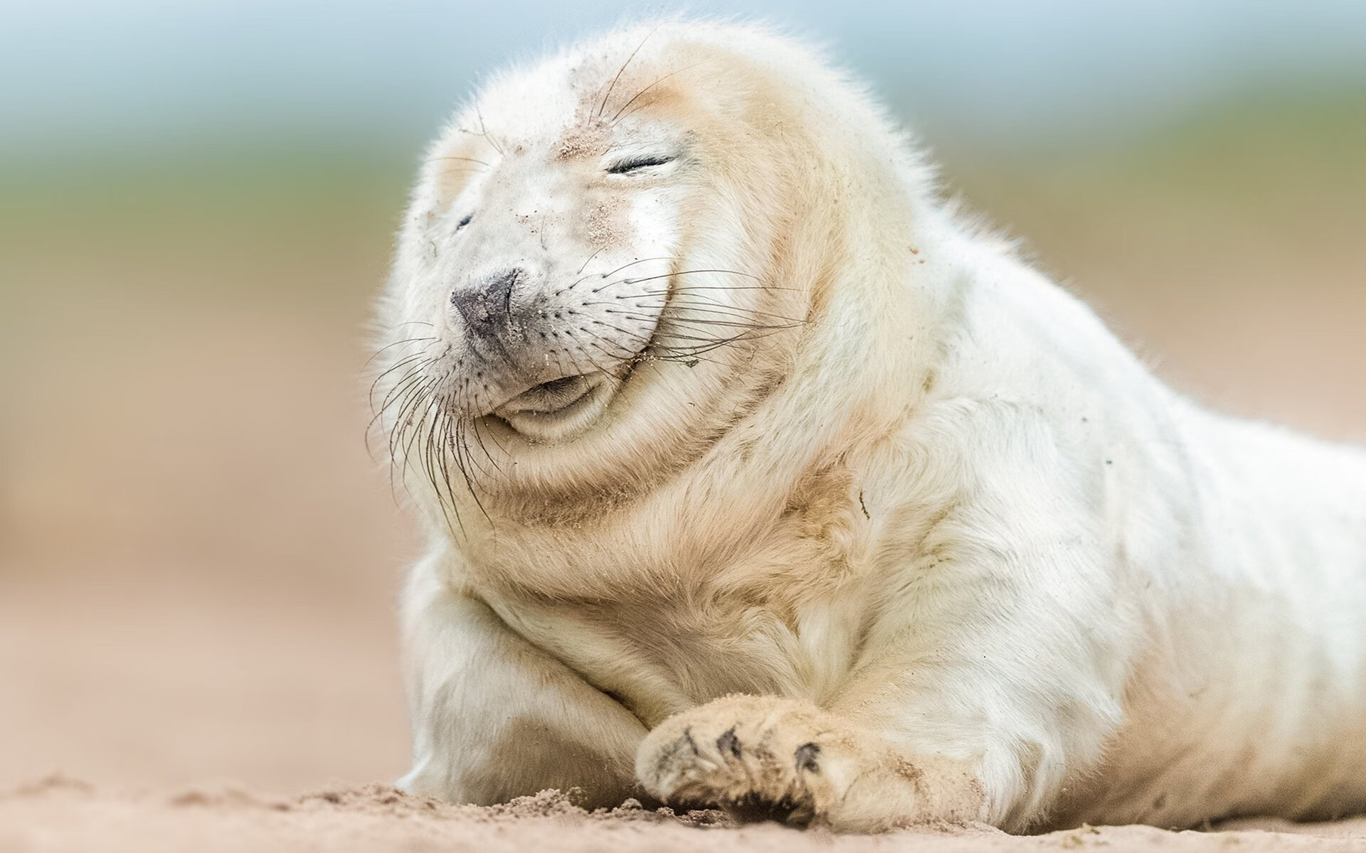 德甲霸主迈向国际多冠王新阶段，德甲霸主迈向国际多冠王新阶段赛程