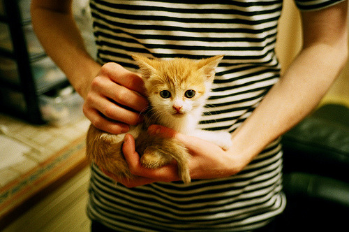 球星慈善赛现场回顾与亮点,慈善足球