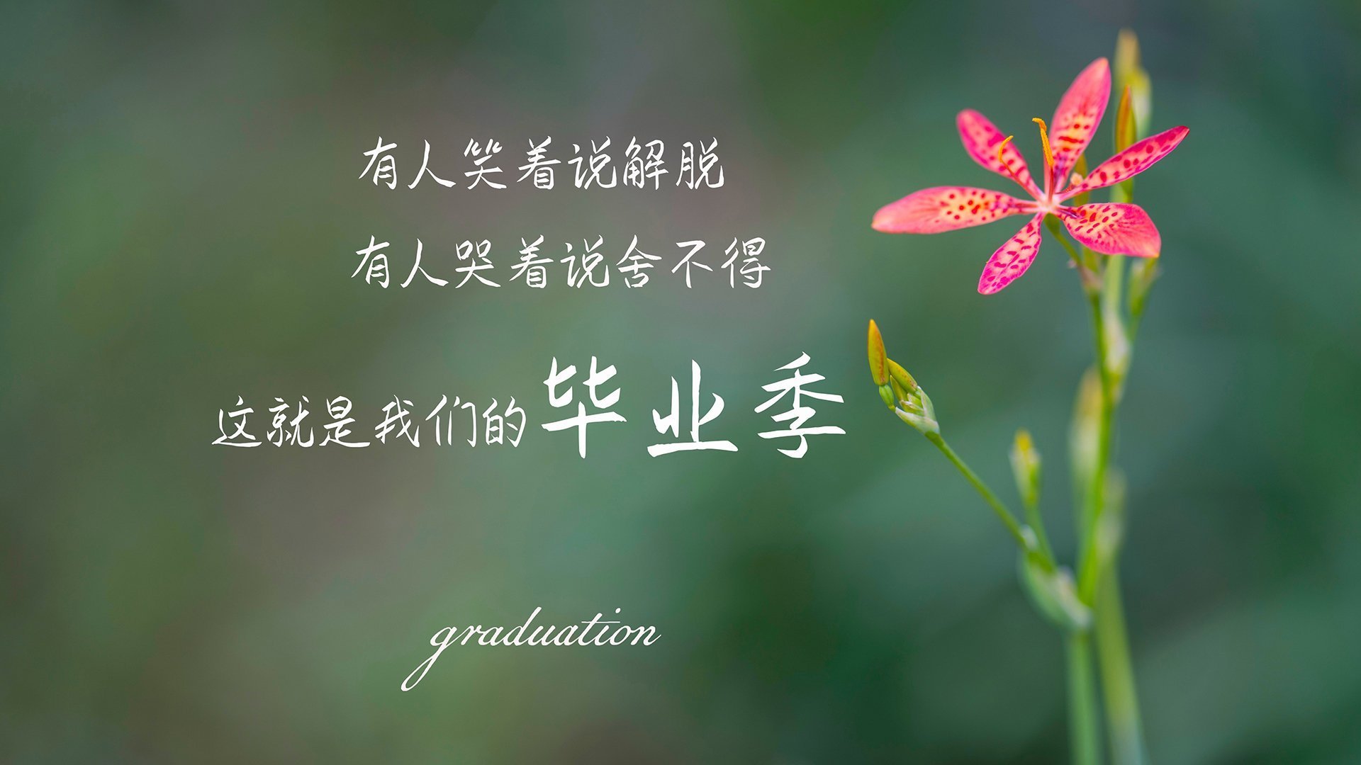 体育新闻中心同步更新国家体教融合示范校名单,体教融合试点项目是什么