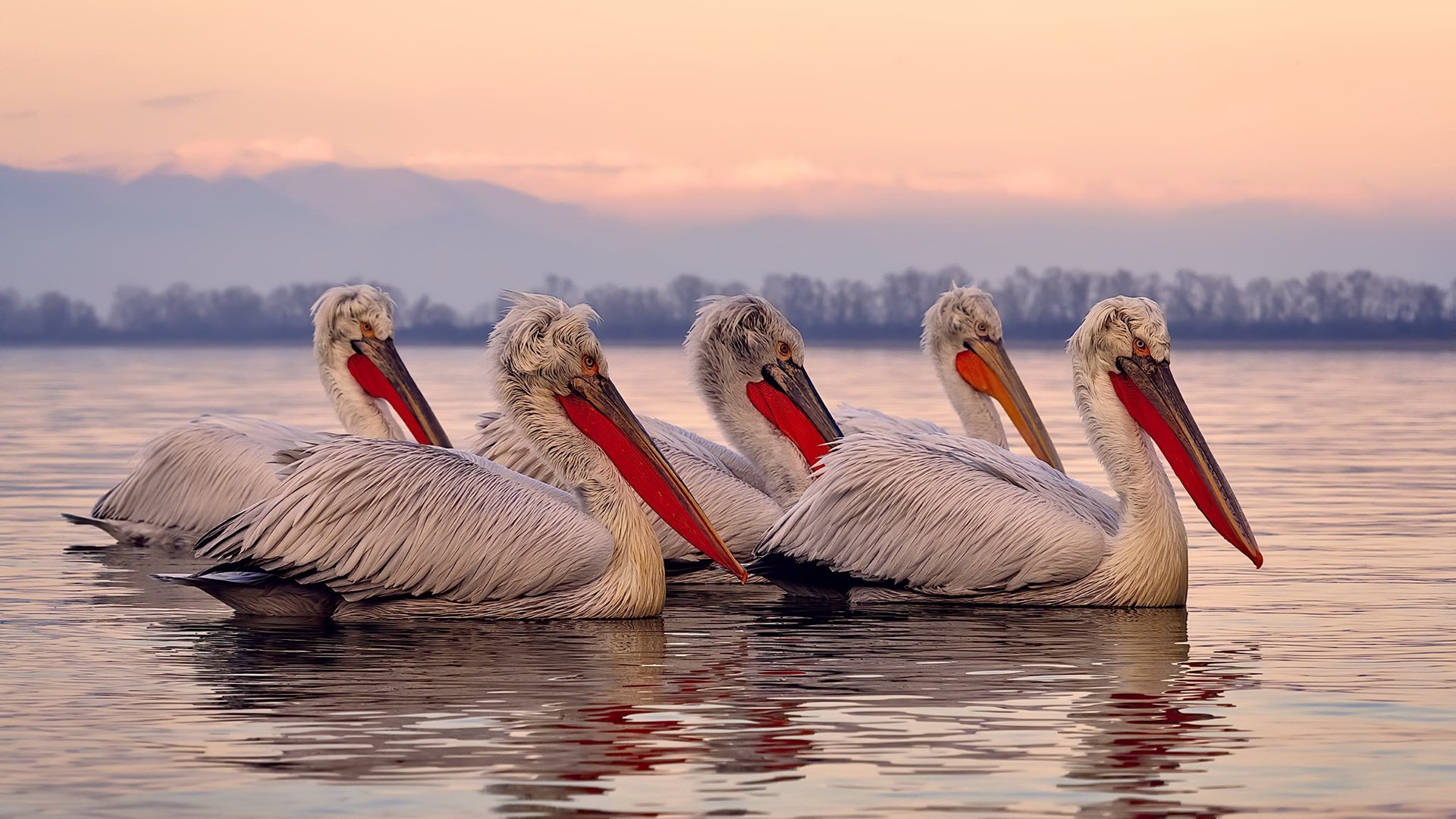 库里说明体能是一切战术发挥基础，库里的身体素质在中国什么水平