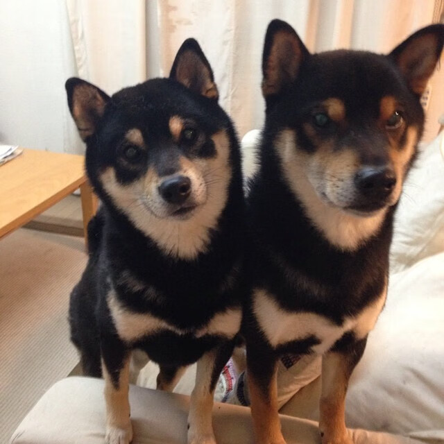 意甲防守型球队新战术观察，意甲队伍