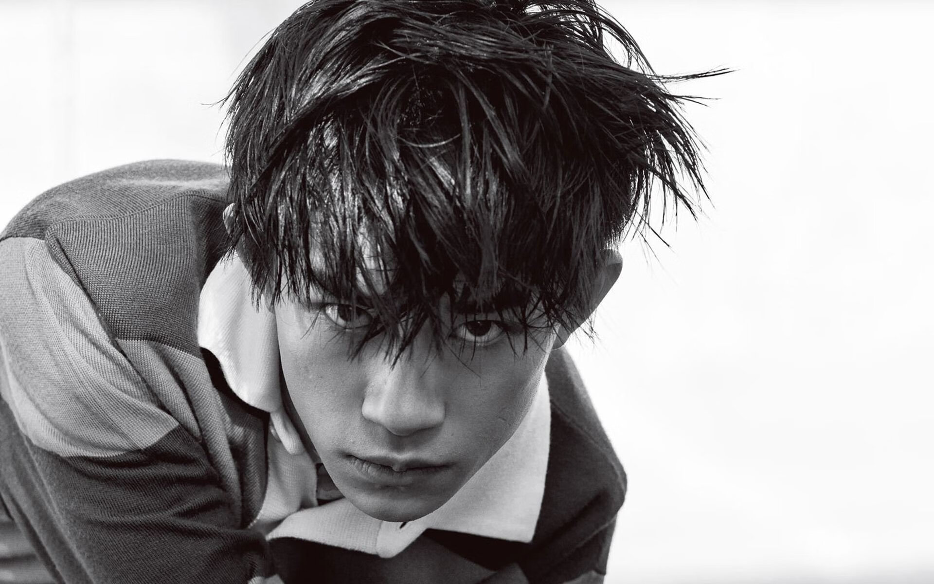 爱尔兰政府出台橄榄球支持政策，爱尔兰橄榄球队